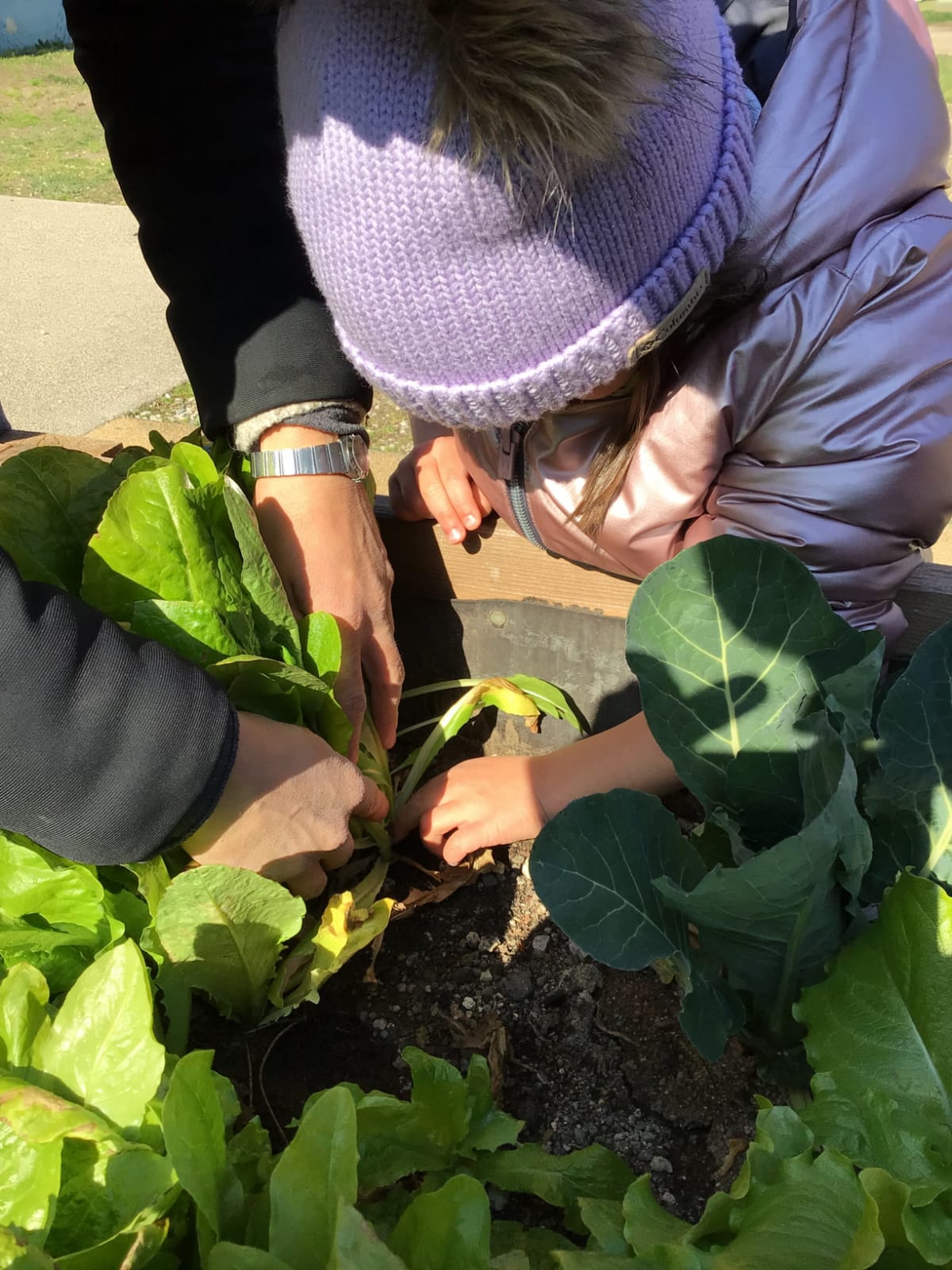 Dall’orto di scuola… alla tavola di casa!